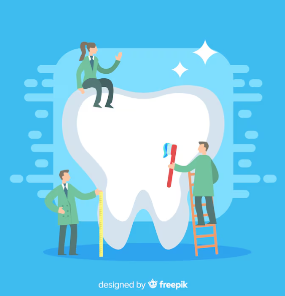 全口重建材料差異有哪些？常用材質與特性一次整理